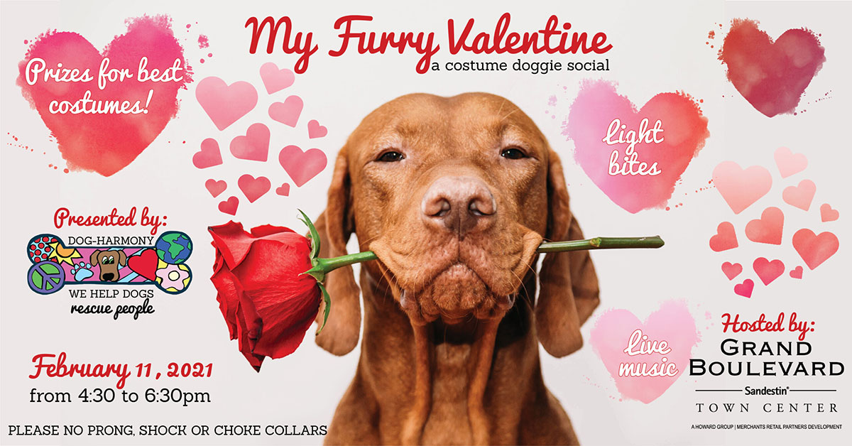 My Furry Valentine Doggie Social